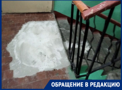 «И за это платим деньги»: волгодончанка показала, как в подъезде проводится ремонт