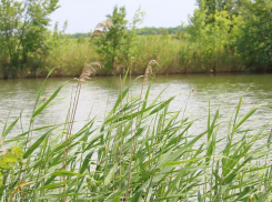 Вдоль дикой Сухой по заповедному острову проложили туристический маршрут