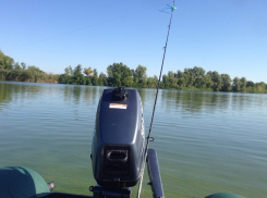 Рыбакам рассказали, где запрещено вылавливать водные биоресурсы