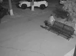 Группировка малолетних хулиганов разгромила мусорные урны на улице Горького