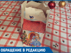 Мой двухлетний ребенок остался без новогоднего подарка, - одинокая мать из Волгодонска