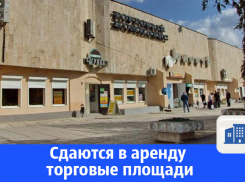 В Волгодонске сдаются в аренду торговые площади