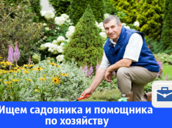 В Волгодонске ищут садовника и помощника по хозяйству