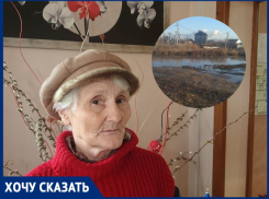 Власти Волгодонска предложили жителям Красного Яра 10 лет терпеть свалку и бездорожье под окнами