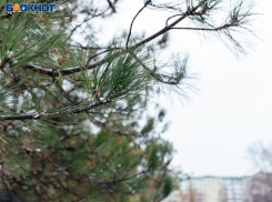 Волгодонцы смогут застать зиму в среду, если встанут очень рано