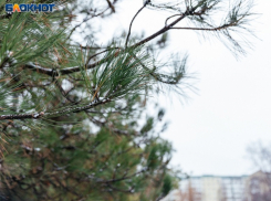 Дождь и похолодание ожидаются в Волгодонске в четверг