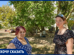 Дом, где упало дерево в Волгодонске, ранее оштрафовали за то, что люди сами удалили опасное дерево