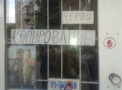 Волгодонцам предлагают скопировать червей