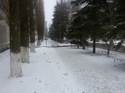 Плохую уборку старого города власти связали с томичами и барнаульцами