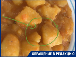 Волос на обед достался студентам техникума питания и торговли в Волгодонске