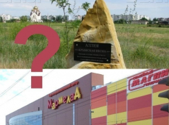 В Волгодонске хотят провести «мармеладный» референдум на тему «Нужен ли в парке ТРЦ»