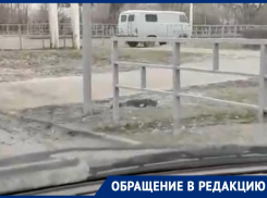 Труп собаки много дней лежит на газоне в новой части Волгодонска