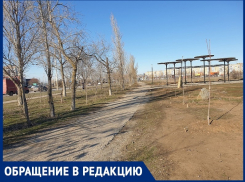 «Губернатору тоже будете показывать эти срам и разруху?»: пенсионер с В-5 возмутился разбитой дорожкой рядом с Молодежным парком