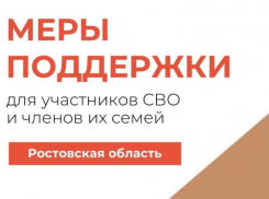 На Дону участники СВО получили новый цифровой инструмент поддержки