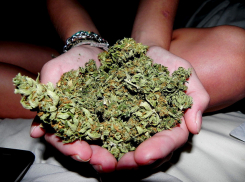 В Волгодонске задержали повара-наркомана, торговавшего марихуаной