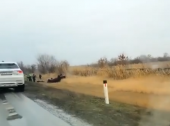 Погибли женщина и четырехлетний ребенок: страшное ДТП произошло на автодороге «Семикаракорск - Волгодонск»