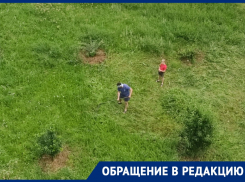 Не дождавшись помощи коммунальщиков, жители Волгодонска сами начали косить траву