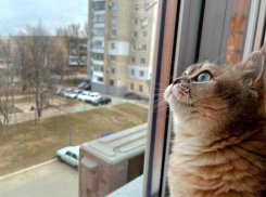 Первый день октября обещает быть пасмурным и холодным