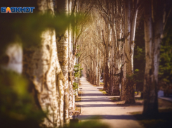 В день спорта в Волгодонске установится комфортная погода