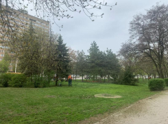  В Волгодонске стартовал сезон покоса травы