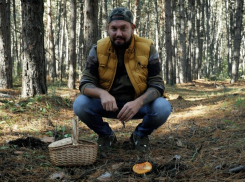 Как не испортить тихую охоту: советы начинающим грибникам 