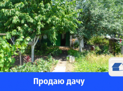 Продают дачу в садоводстве «Рассвет»