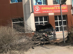 Волгодончанка на «Альфа Ромео» снесла дерево и кусты возле «Казымова» 