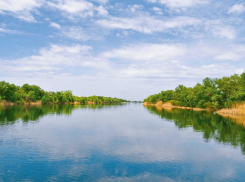 Под Цимлянском вдоль берега Сухой откроют экологическую тропу «Заповедный остров»