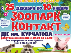 Новогодние каникулы в компании милых зверей и уникальных бабочек! 