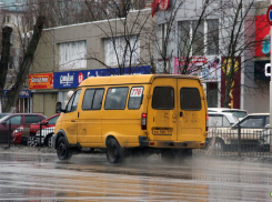 Стоимость проезда в маршрутках Волгодонска могут отпустить в свободный полет