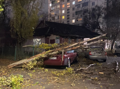 Бушующий ветер повалил часть дерева на автомобиль в Волгодонске