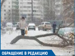 Коммунальщики бросили спиленное дерево и перекрыли въезд во дворы на улице Энтузиастов в Волгодонске 