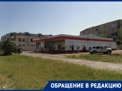 «Витамин, прощай»: ради очередного торгового объекта в Волгодонске спилили рощу акаций
