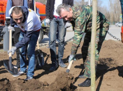 Одаренная молодежь высадила клены и туи в сквере возле администрации Волгодонска