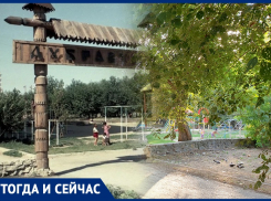 Из царства Кощея в царство грачей: как изменилась «Дубравушка» за 40 лет