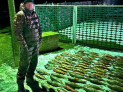 Линейку и точные весы рекомендовали брать на рыбалку волгодонцам 