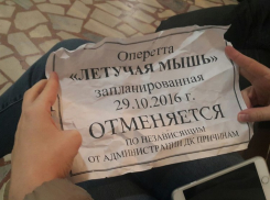 Отдел культуры Волгодонска обвинил в срыве спектакля «Летучая мышь» организатора площадки
