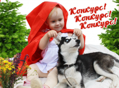 «Блокнот» объявляет конкурс для детей «ЛУЧШИЙ НОВОГОДНИЙ КОСТЮМ»