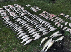 Двух рыбаков на надувной лодочке задержали за массовый вылов рыбы в Мартыновском районе 