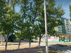 В Волгодонске разыскивают водителя, наехавшего на 9-летнюю девочку