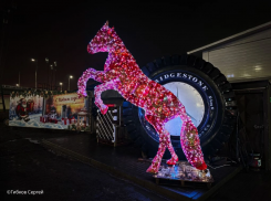 Местный житель дарит городу новогоднее чудо