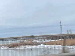 Первые рыбаки стали бурить лунки в тонком льду Сухо-Соленовского залива в Волгодонске 