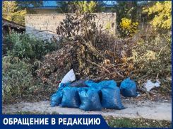 «Здесь может вспыхнуть пожар»: волгодончанка о несанкционированной свалке по переулку Донскому 