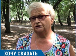 Наш любимый сквер «Дубравушка» гибнет из-за ужасных ворон, - волгодонцы о сотнях ворон
