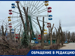 Лишили горожан красивейшего парка: тотальная обрезка деревьев в парке Победы шокировала волгодонцев