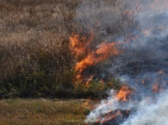 Цимлянский район стал самым пожароопасным местом в области
