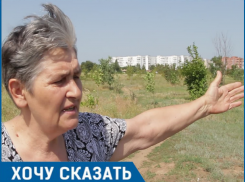 Мне стыдно перед погибшими, - пенсионерка из Волгодонска о состоянии аллеи Победы в парке «Молодежный»