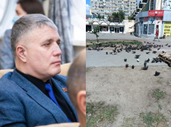 «Пусть сами за ними убирают»: депутат Дмитрий Якушкин высказался о людях, подкармливающих голубей