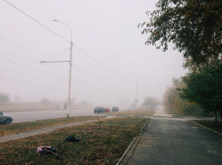 Туманное утро и пасмурный день ожидают Волгодонск