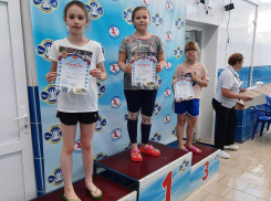 Свыше 300 спортсменов приняли участие в первенстве по плаванию 